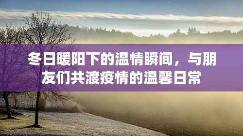 冬日暖阳下的温情时光,与朋友共渡疫情的温馨日常