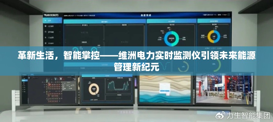 维洲电力实时监测仪,智能掌控革新未来能源管理新纪元