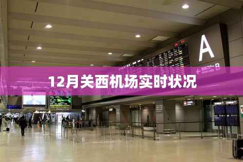 关西机场12月实时动态报告