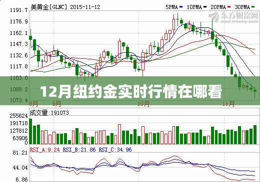 纽约金实时行情查看指南