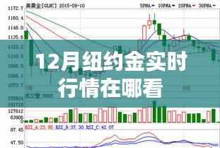 纽约金实时行情查看指南