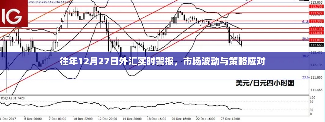 外汇市场实时警报,波动分析与应对策略