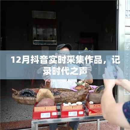 抖音实时作品记录时代之声,12月精选作品集