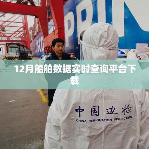 船舶数据查询平台下载,实时查询系统支持下载