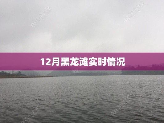 黑龙滩水库实时状况揭秘,12月最新动态