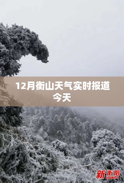 衡山十二月天气实时更新今日概况