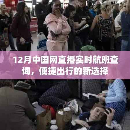 中国网直播实时航班查询,便捷出行首选