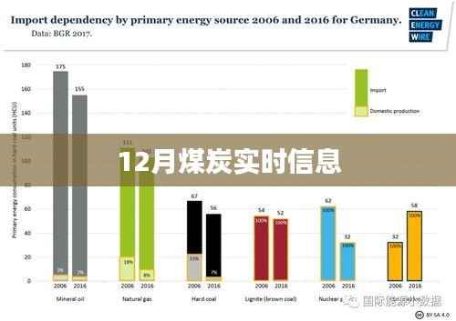 最新煤炭行情资讯,十二月市场动态实时更新