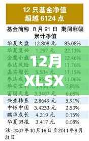 ETF实时净值获取方法,12月XLSX操作指南