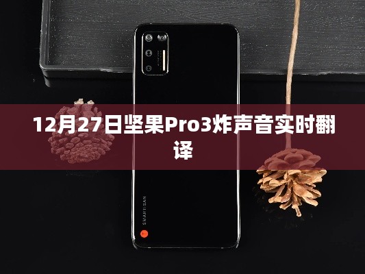 坚果Pro 3炸声音实时翻译功能上线