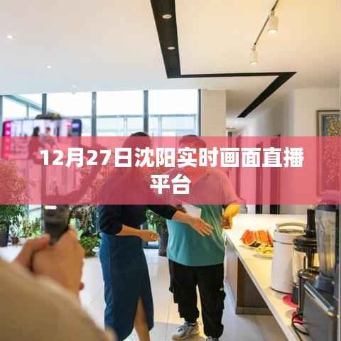 沈阳实时画面直播,12月27日精彩瞬间