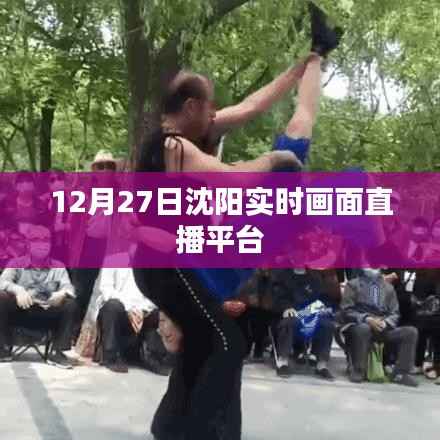 沈阳实时画面直播,12月27日精彩瞬间