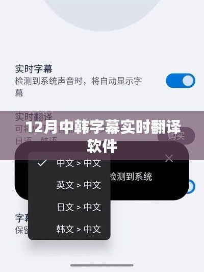 中韩字幕实时翻译软件,助力跨文化交流