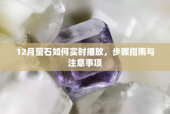 12月萤石实时播放教程,步骤详解与注意事项