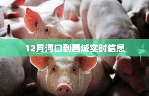 河口到西城最新实时资讯