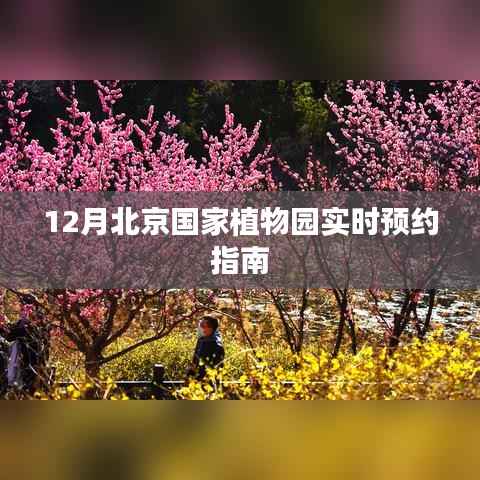 北京国家植物园12月实时预约攻略