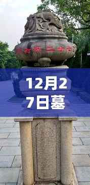 墓地直播,揭秘12月27日实时直播网站