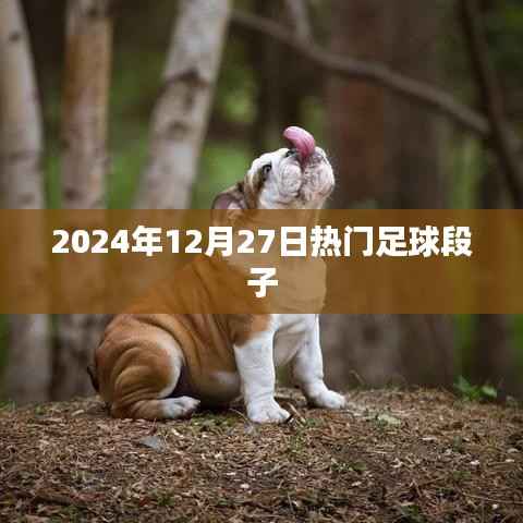 精选足球段子,2024年12月27日热门盘点