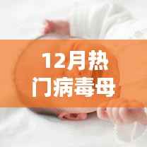 揭秘十二月病毒母体,热门病毒大盘点