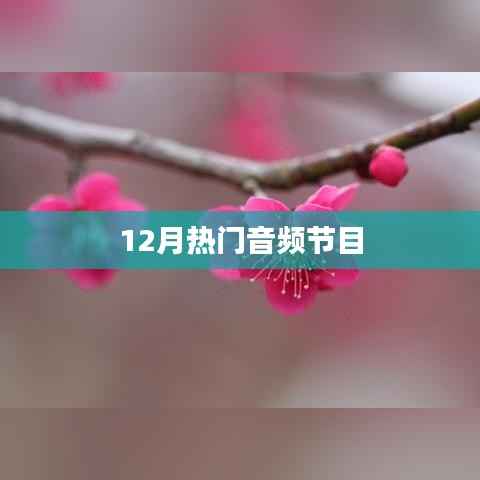 12月热门音频节目推荐,不容错过!