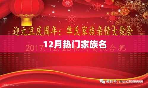 家族荣耀,揭秘十二月热门家族名