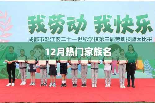 家族荣耀,揭秘十二月热门家族名