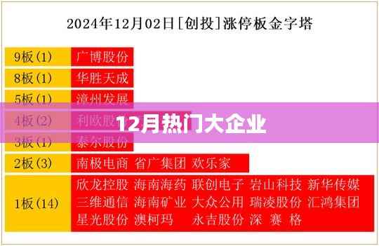 12月大企业热点聚焦