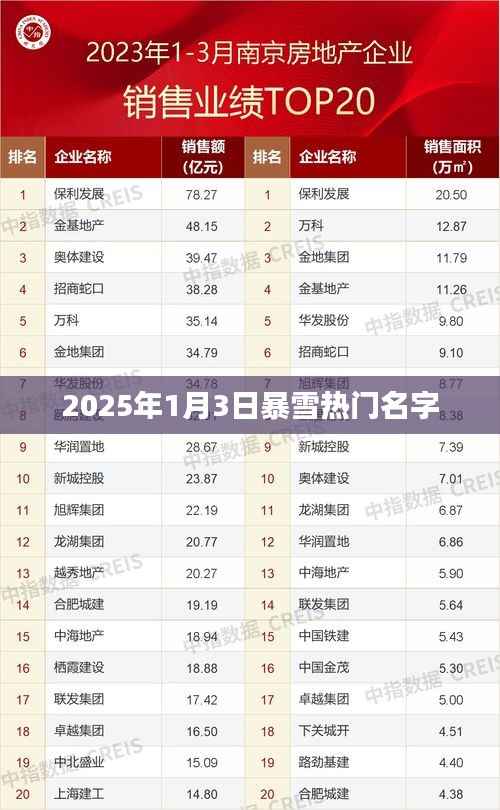 『2025年暴雪日热门名字一览』