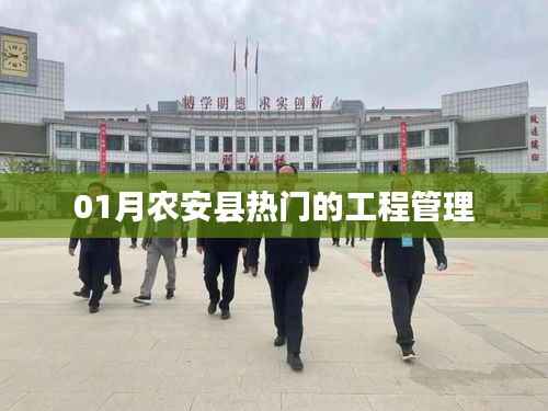 农安县热门工程管理,最新动态与行业趋势分析