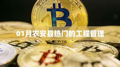 农安县热门工程管理,最新动态与行业趋势分析