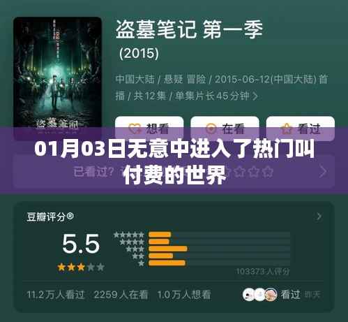 揭秘付费世界的热门现象,揭秘背后的秘密