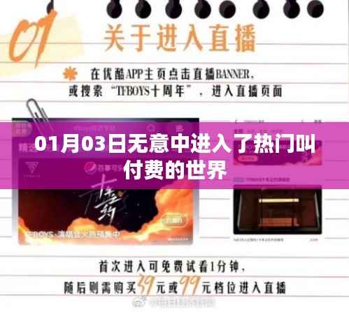 揭秘付费世界的热门现象,揭秘背后的秘密