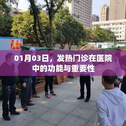01月03日,发热门诊在医院的功能与重要性解析