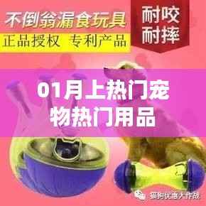 宠物热门用品榜单出炉,一月精选推荐
