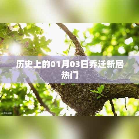 乔迁新居历史热门日期,一月三日回顾与展望