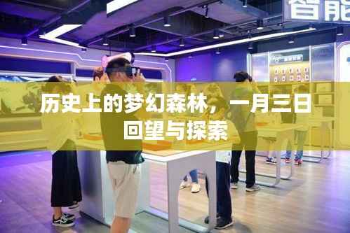 梦幻森林的历史回眸,一月三日的探索之旅