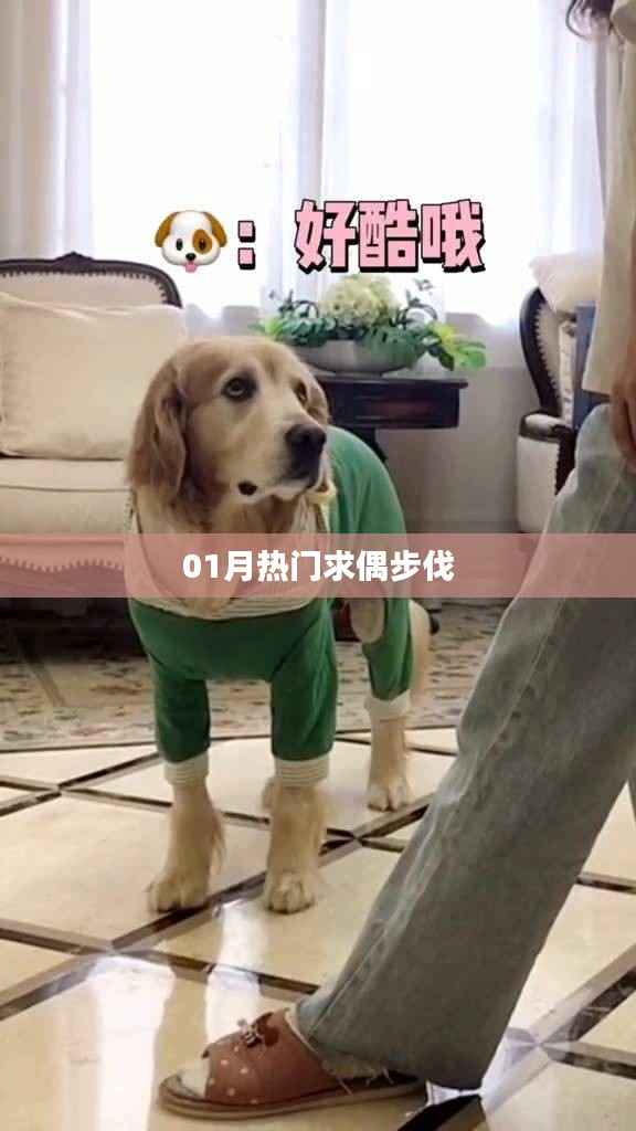 热门求偶步伐大揭秘!一月新风尚。