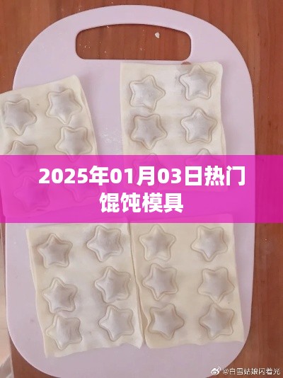 新年热门馄饨模具推荐,打造美味馄饨必备工具