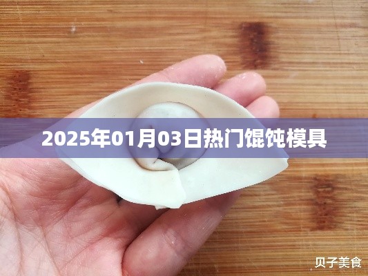 新年热门馄饨模具推荐,打造美味馄饨必备工具