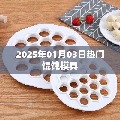 新年热门馄饨模具推荐,打造美味馄饨必备工具