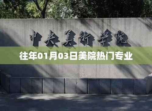 美院热门专业历年解析