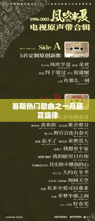 暑期热门歌曲,盛夏旋律回顾