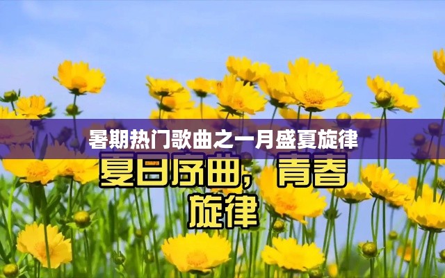 暑期热门歌曲,盛夏旋律回顾