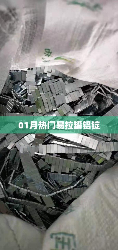 铝锭易拉罐市场动态,一月份热门资讯