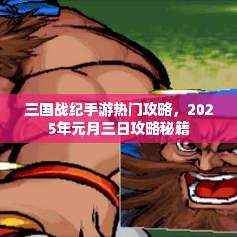 三国战纪手游热门攻略秘籍,元月三日攻略分享