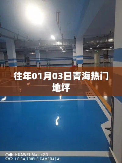 青海历年元旦后三日热门地坪活动概览