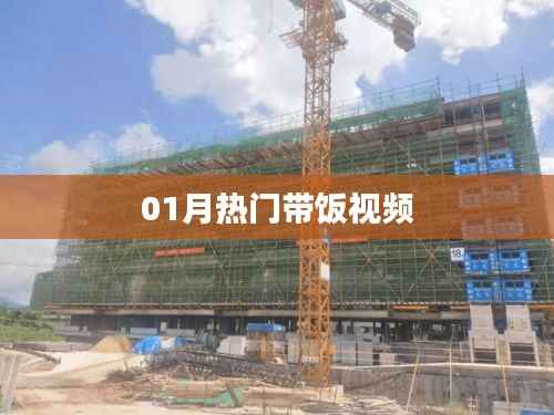 百鸟齐鸣 第3页