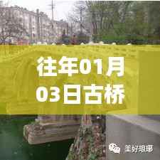 古桥热点事件回顾，揭秘历年一月三日盛事