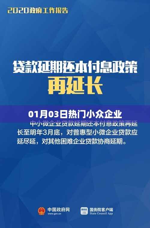 01月精选，热门小众企业风采展示