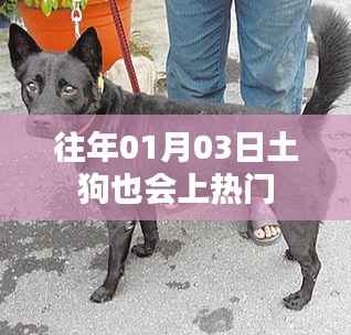 省吃细用 第3页